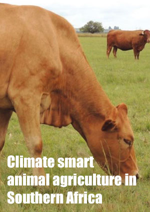 Climate smart animal agriculture in Southern Africa
